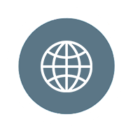 Globe Icon